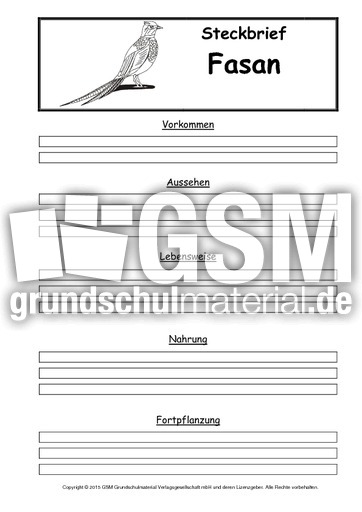 Steckbriefvorlage-Fasan.pdf